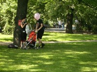 Den rovnosti žen a mužů Den rovnosti žen a mužů