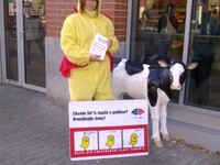 Kuře tour 2010 Kuře tour 2010